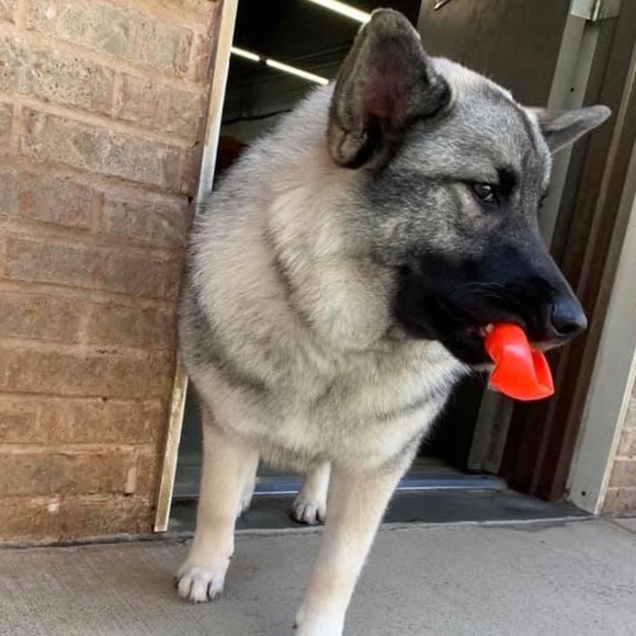 Meet your Posher, Janet - Picture 9 of 10